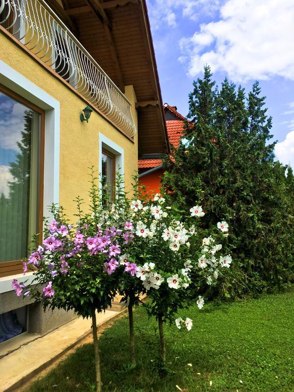 Petra Apartmanház Badacsonytomaj Exterior foto